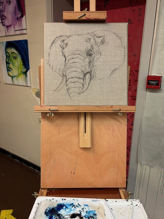 Elephant Grey #1