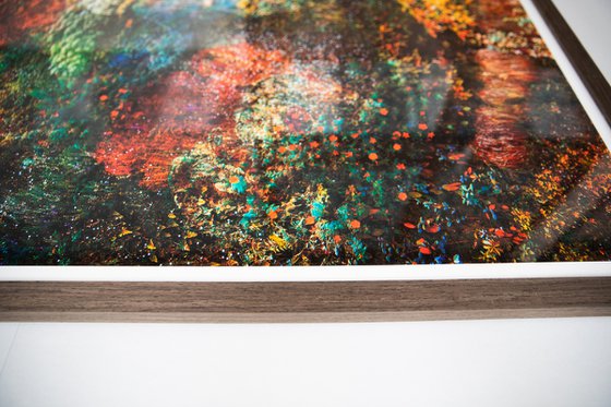 Wall of Nature LXVII (Framed)
