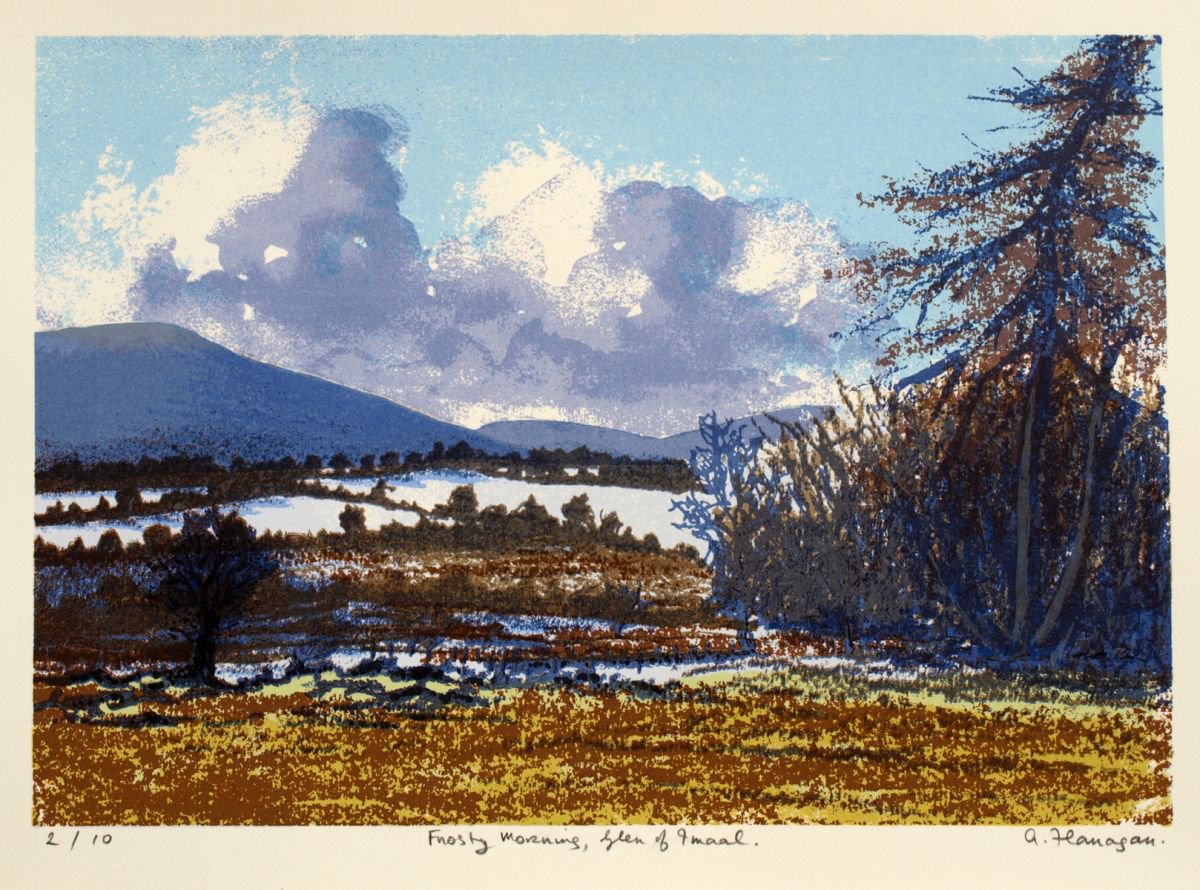Frosty Morning, Glen of Imaal by Aidan Flanagan Irish Landscapes