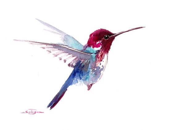 Hummingbird