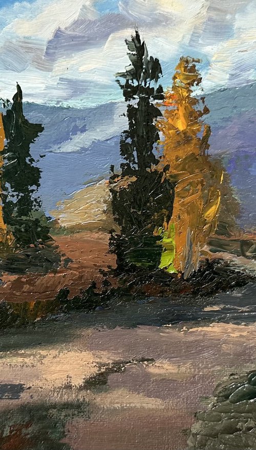 Cypress Tree by Grace Diehl