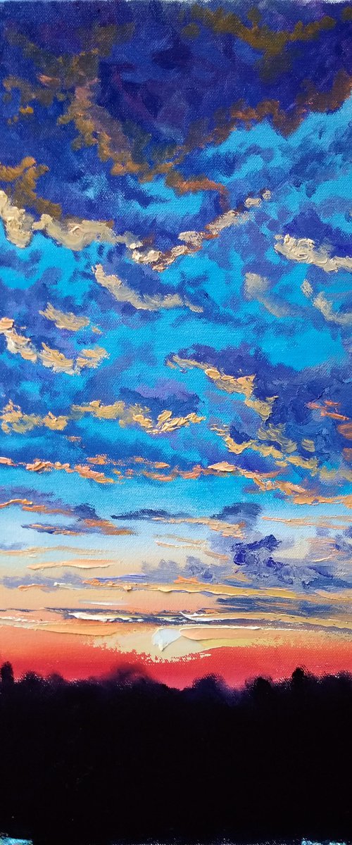 Sunset at the meadow near my home by Dmitry Fedorov