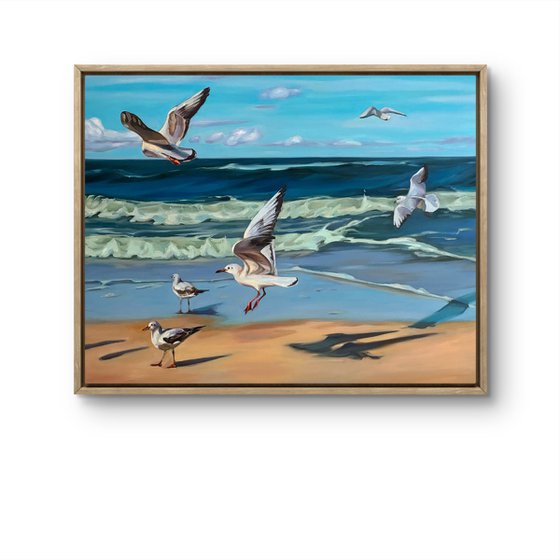 Sea seagulls