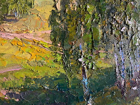 Sunny Day in the Birch Forest