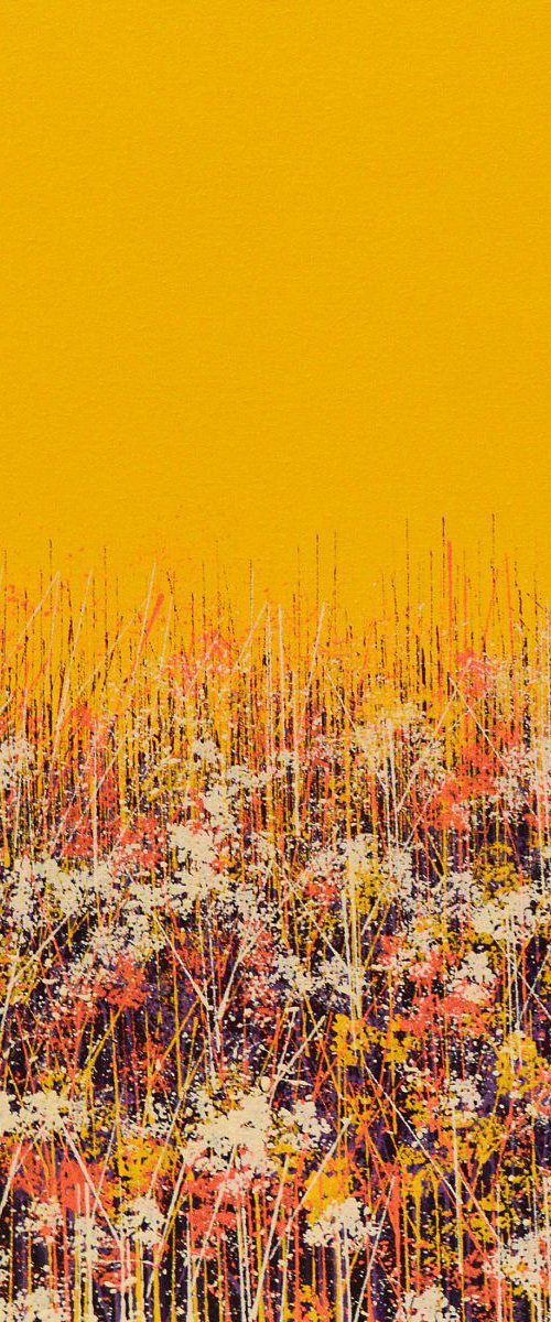 Wild Flower Meadow by Marc Todd