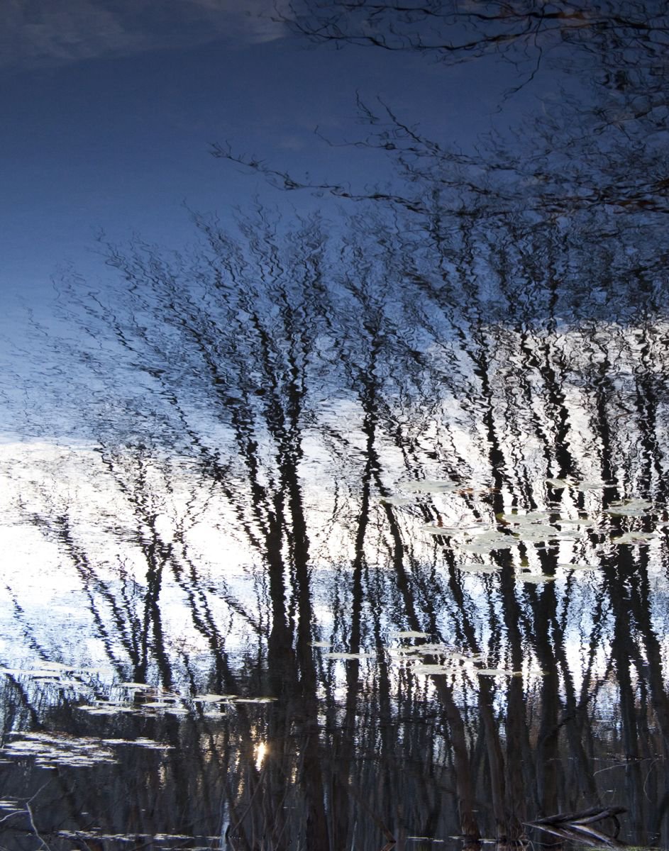 Photorealistic Landscape Photograph By Michael Filonow, 26 X 32", Reflection 6, Original Artwork