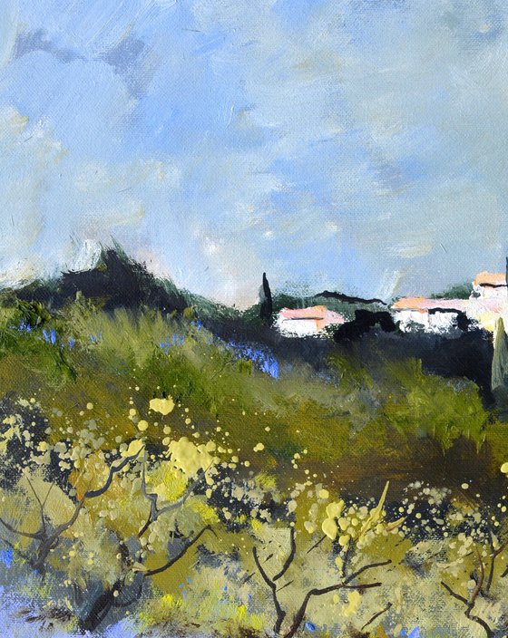 Poppies and lavender in Provence  - 4523