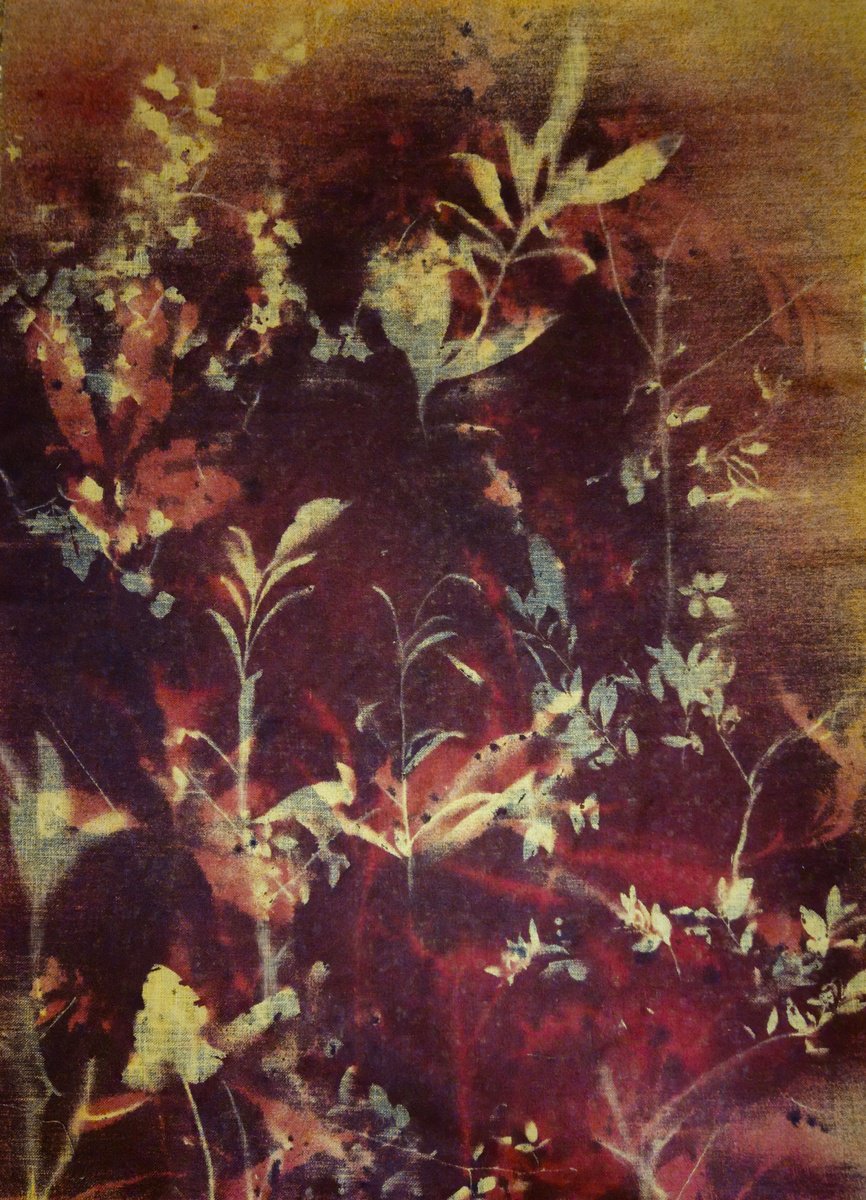 Surrealistic Botanical Acrylic Painting By Stefano Mazzolini, 59 X 79", Rf4546, Original Artwork