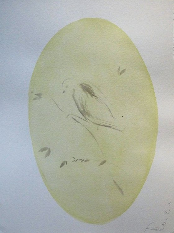 Birds of Carros #35, 31x41 cm