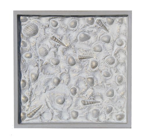 White Shells by Christina Reiter