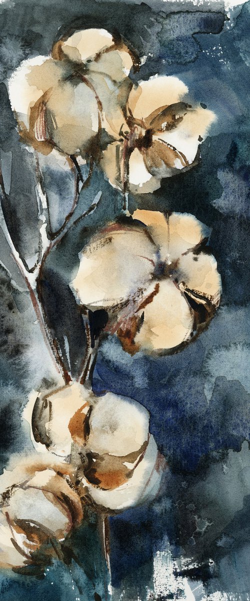 Cotton Flowers by Sophie Rodionov