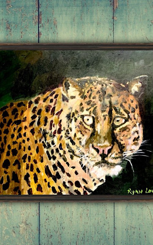 Leopard by Ryan  Louder