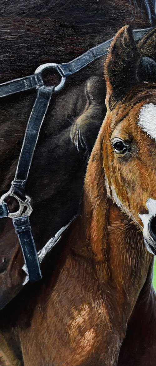 Horse's love /Motherhood 40 X 40 cm (Ready to hang) by Elena Adele Dmitrenko