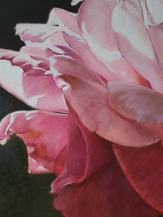 "With the first rays..." rose painting 2021