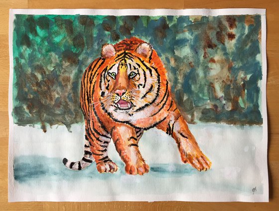 Siberian tiger