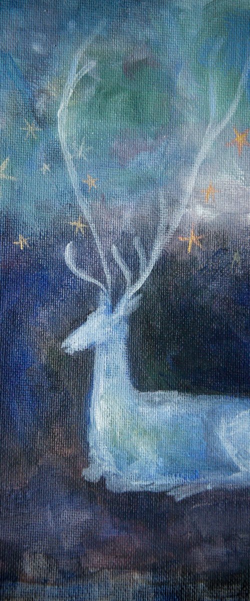 Starlight by Victoria Lucy Williams