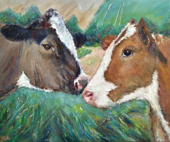 Two Cows
