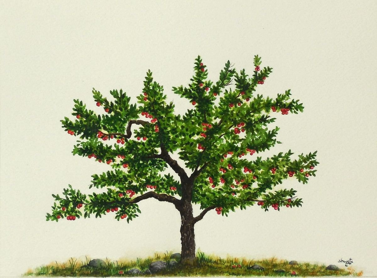 Apple Tree Watercolor Painting by Shweta Mahajan