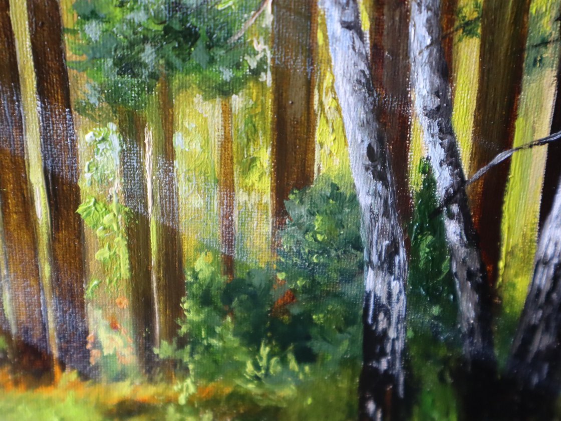 Forest Stream Digital Oil Painting Kit Suitable For Adults - Temu