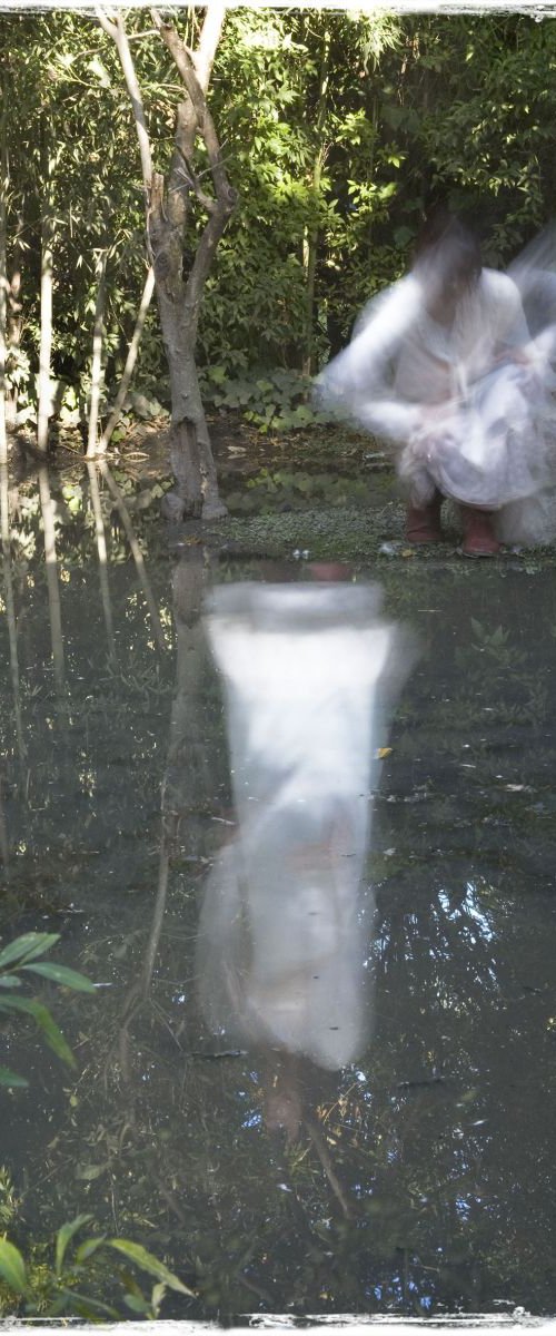 Reflection in Pond by Louise O'Gorman