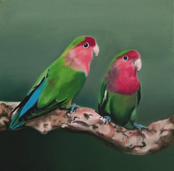 Parrots