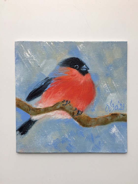 Bullfinch oil painting - Bird small canvas art - Christmas gift for bird lover (2021)