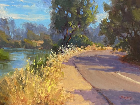 American River Parkway Trails