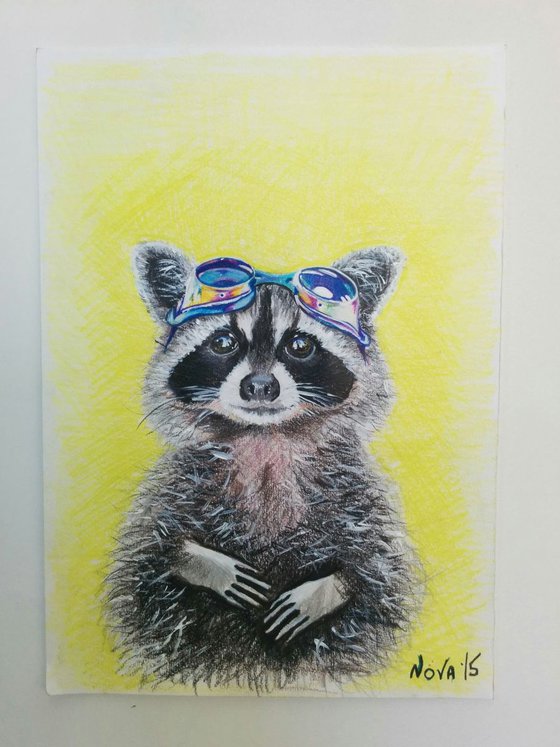 Little Raccoon