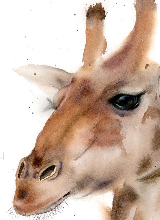 giraffe portrait