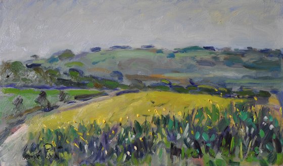 The Downs near Southdown Gun Club..
