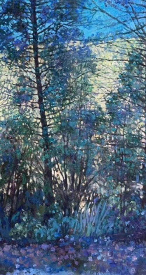 Lace of the French Alps by Nadezda Stupina