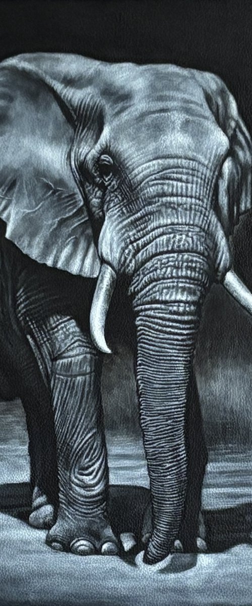 Elephant Night Walker by Karl Hamilton-Cox