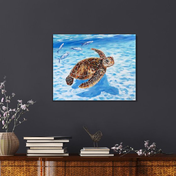 Sea turtle