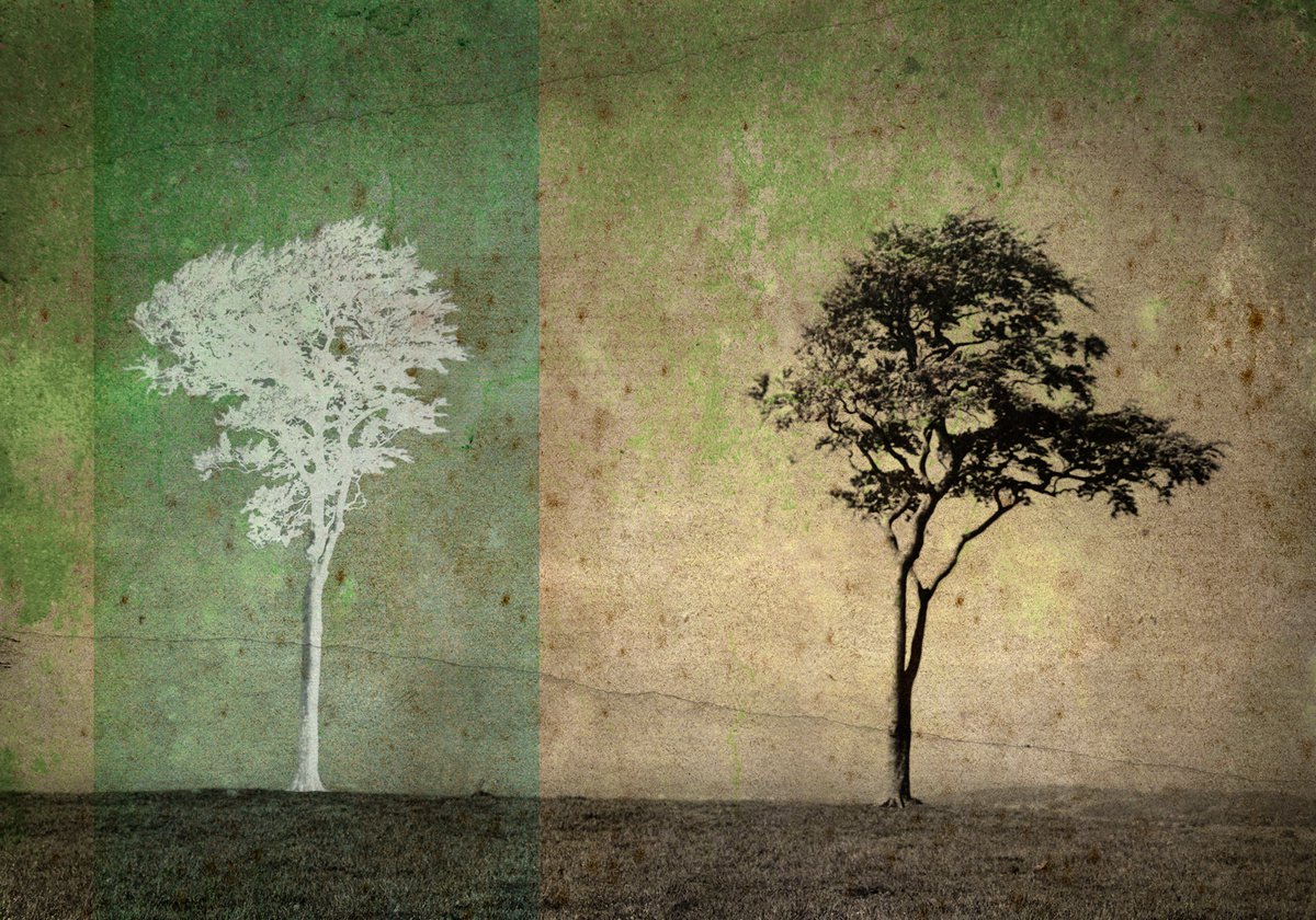 Landscape Photograph By Claire Newman-Williams, 24 X 18, Dyad, Original Artwork