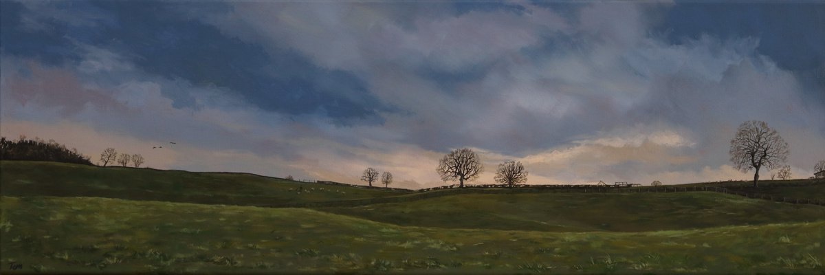 Yorkshire fields by Tom Clay