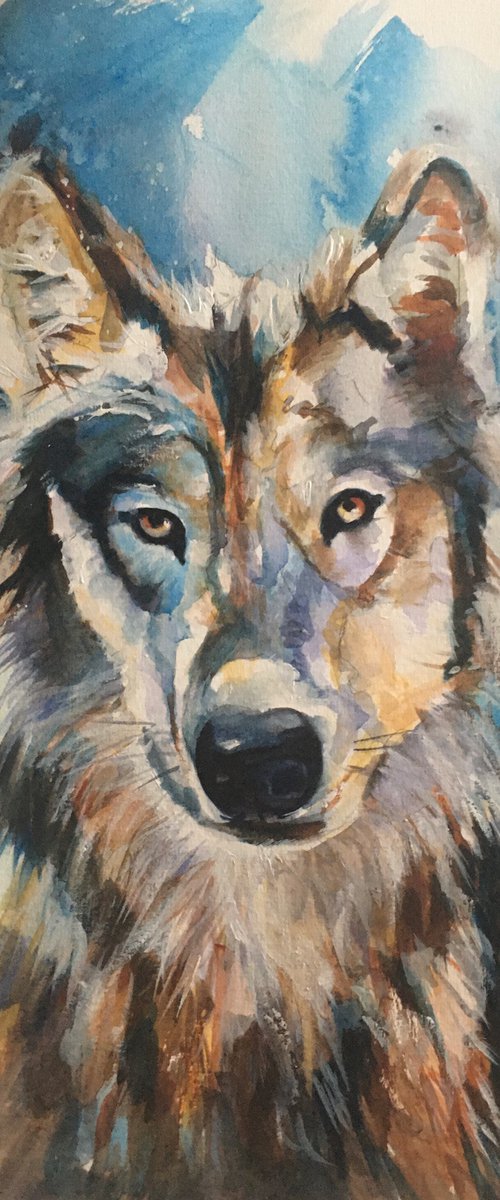 Lone Wolf by Sarah Stowe