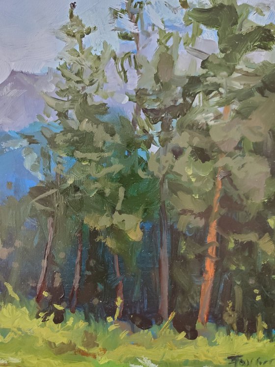 Mountain View - Austrian Plein Air