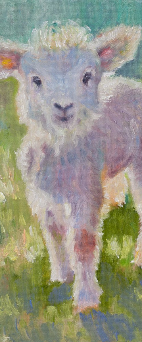 Little Lamb by Liudmila Pisliakova