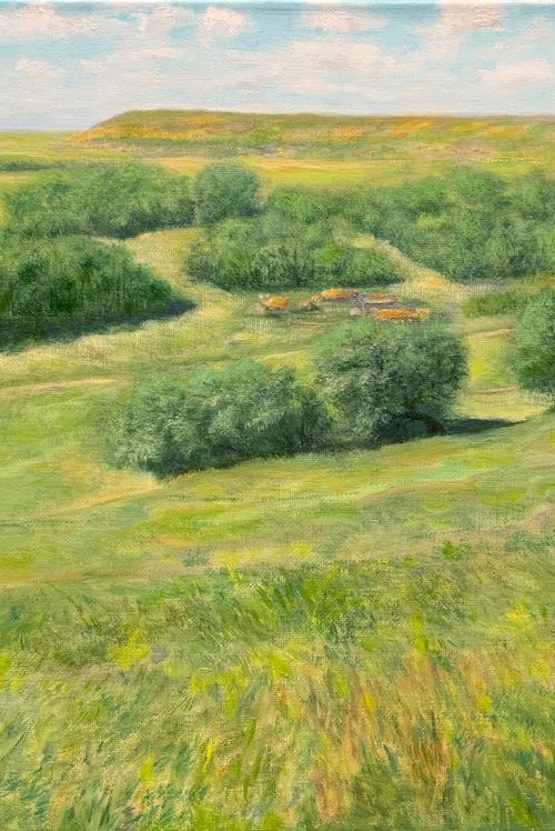Rural landscape. The village of Old Baryshevo. by Albert Safiullin