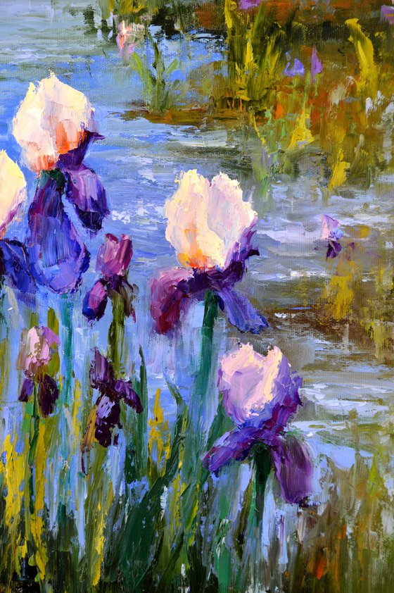 Pond with Beautiful Irises