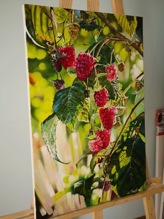 Ripe Raspberries on Branch