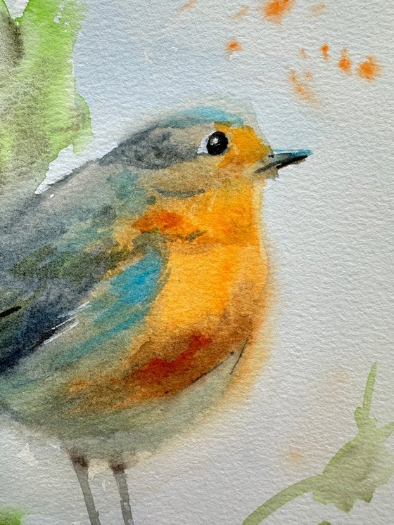 Little Robin