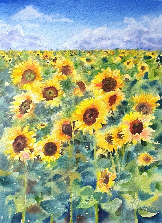 Yellow sunny field