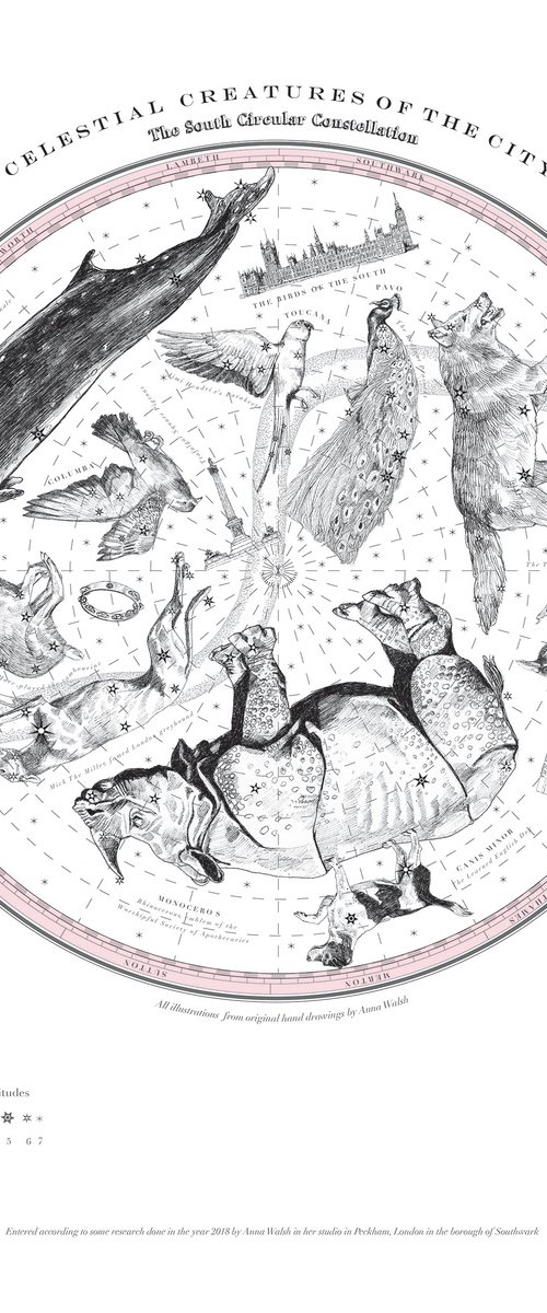 The South Circular Celestial Menagerie by Anna Walsh