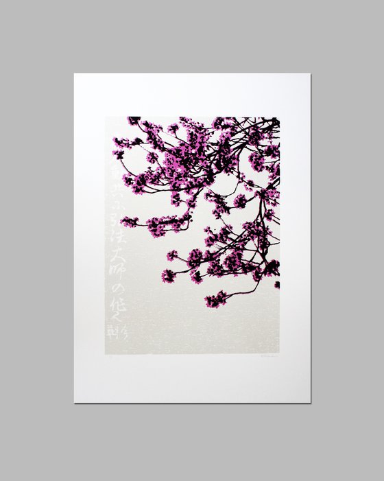 Beneath the Cherry Blossom (1/1 screen print)