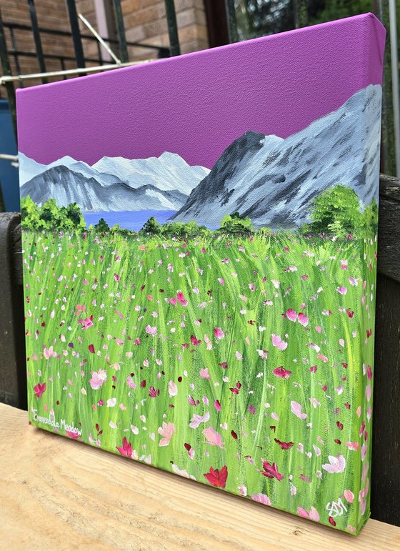 Ennerdale Meadow