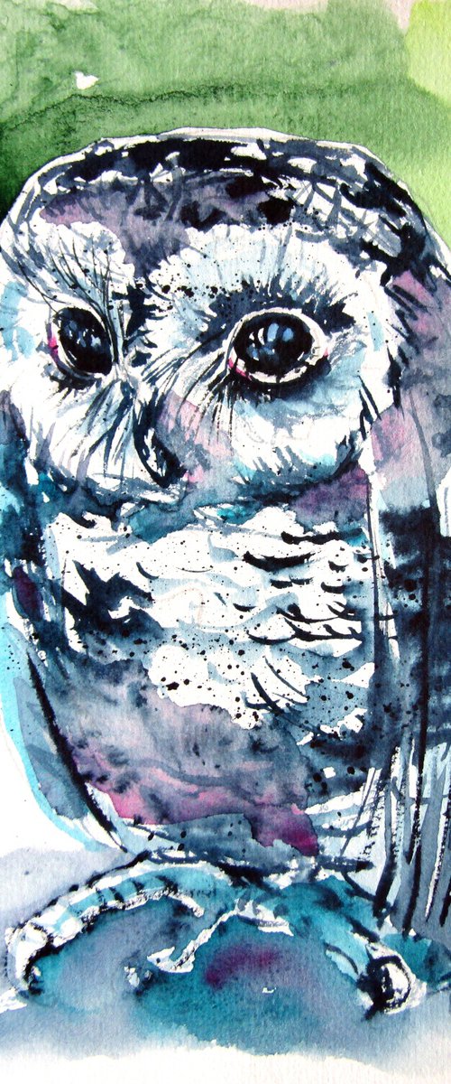 Cute baby owl by Kovács Anna Brigitta