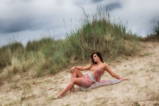 Feather on the Beach