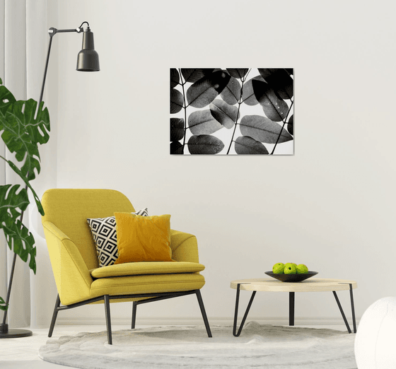 Experiments with Leaves II | Limited Edition Fine Art Print 1 of 10 | 90 x 60 cm