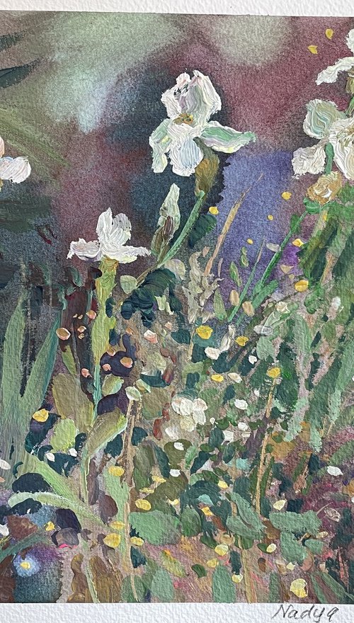 Irises in the garden by Nadezda Stupina